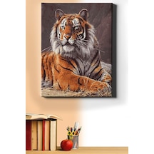 Webstyle Sayılarla Boyama Seti Kasnaklı Kaplan Bakış 60 X 75 Cm