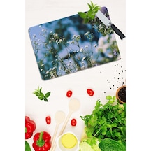 Model 189 Cam Kesme Tahtası 30 Cm X 40 Cm