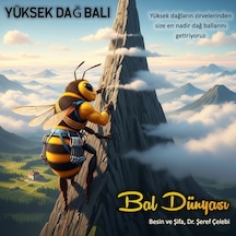 Yüksek Dağ Balı 450 Gr