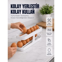 Çok Renkli