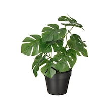 Ikea Fejka Saksılı Yapay Monstera 32 Cm Koyu Yeşil Siyah Siyah - Yeşil