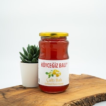 Köyceğiz Balı Çaltı Balı Cam Kavanoz 450 G