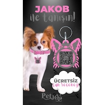Petjoo 8.Jakob Gri-Pembe Qr'lı Köpek Künyesi