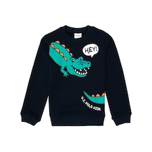 U.s. Polo Assn. Erkek Çocuk Lacivert Sweatshirt 50316536-vr033 Lacivert