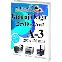 A3 Gramajlı Fotokopi Kağıdı 50 Adet 250 Gr Sertifika Kağıdı Kalın Kağıt Baskı Tüm Yazıcılara Uyumlu 29,7x42cm Ofis Büro