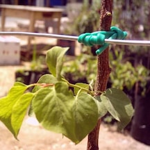 Plastik Özel Üretim Fidan Bağlama Ipi 10 Fidan Için