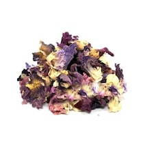Hatmi Çiçeği Gülhatmi 25 G