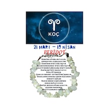 Gümüştel El Sanatları Sertifikalı Koç Burcu Burç Bilekliği Çok Renkli