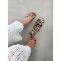 Leopar
