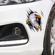 Kartal Araba Oto Sticker Yapıştırma Renkli