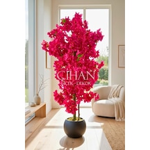 Fuşya Begonvil Yapay Ağaç 180 Cm 30x30 Siyah Plastik Küre Saksılı Beyaz