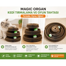 Majo İki Katlı Karton Tırmalama