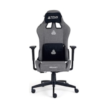 Ayrex Titanseat Beast Anthra Kumaş Oyuncu Koltuğu Genel