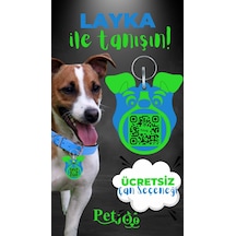 Petjoo 22.Layka Yeşil-Mavi Qr'lı Köpek Künyesi