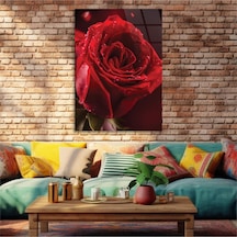 Gerçek Cama Baskı Kırmızı Gül Görselli Tekli Cam Tablo S004