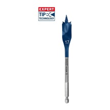 Bosch 17x152 Mm Expert Yaprak Matkap Ucu 2608900316
