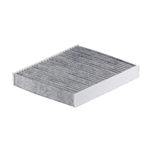 Filtron K1369a Karbonlu Polen Filtresi