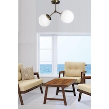 Riko Modern Tasarım Siyah Beyaz Kapalı Camlı Ikili Avize1 Siyah