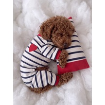 Mon Amour Çizgili Köpek Uyku Takımı Pamuklu Penye Köpek Tulumu Ve Mini Yastık Küçük Irklar İçin Tüy Dökülmesini Azaltır