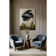 John James Audubon Büyük Mavi Balıkçıl Kuş İllüstrasyonu Dekorati