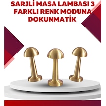 Şarjlı Dimmerli Led Masa Lambası 4-8 Saat Aydınlatma