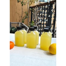 6'li 100 Ml Şeffaf Yassı Cam Shot Şişesi Sızdırmaz Siyah Kapaklı Detoks Cold Brew Çok Amaçlı Şişe 100ml Diğer