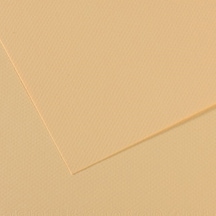 Canson Fon Kartonu Dokulu Mı-teıntes Sh Canmt 50x65 160 Gr Ylw 407 Çok Renkli