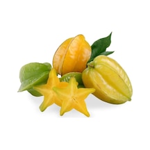Meyve Verir Durumda 20 Lt Saksıda Carambola Yıldız Meyvesi Fidanı