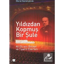 Yıldızdan Kopmuş Bir Şule - Meral Demiryürek - Akademik Kitaplar