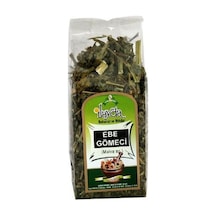 İlayda Ebegümeci 20 G