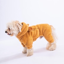 Latte Koala Peluş Küçük Irk Köpek Tulumu L