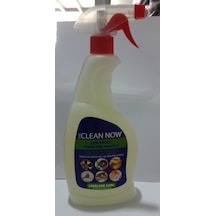 Lion Clean Now Çok Amaçlı Temizlik Maddesi 750 ML