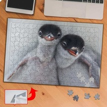 Sevimli Yabani Penguenler 240 Parça Puzzle Yapboz Tablo-p109