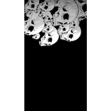 Buffalo Bandana Black Skulls1 Siyah