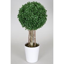 Yapay Çiçek Deposu Yapay Küçük Şimşir Ağacı 50 Cm Beyaz Saksılı