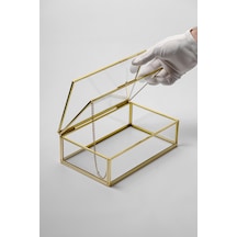 Çerçeve Kapaklı Cam Kutu Pirinç & Gold