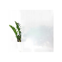 D-C-Fix 334-0004 Rakı Beyazı Statik Cam Folyo (45Cm X 1Mt)