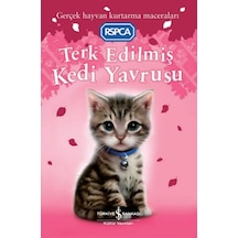 Terk Edilmiş Kedi Yavrusu - Qhdh-811625