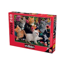 Anatolian 260 Parça xl Puzzle - Oyuncu Kediler 3327
