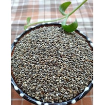 1000 GR Chia Tohumu
