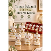 Toptan Dekoratif 6 Lı Beyaz Mini Atlı Karınca