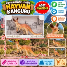 Kutup Ayısı