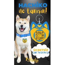 Petjoo 19.Hachiko Sarı-Mavi Qr'lı Köpek Künyesi
