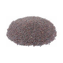 Siyah Hardal Tohumu 1. Kalite 1 KG