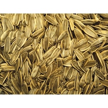 Talas Kuruyemiş Yerli Tuzsuz Siyah Çekirdek 5 KG