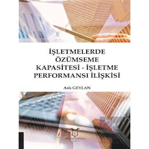 İşletmelerde Özümseme Kapasitesi - İşletme Performansı İlişkisi