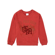 U.S. Polo Assn. Erkek Çocuk Gül Kurusu Bisiklet Yaka Sweatshirt 50308518-VR026