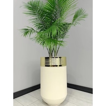 Elegant Dekoratif Gold Darbuka Krem Saksı 70cm