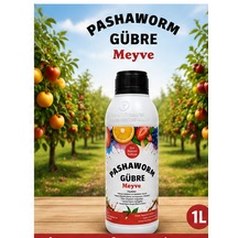 1 L