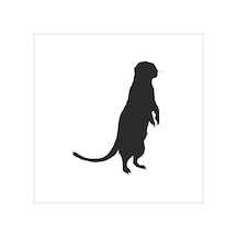 Gelincik Folyo Sticker 100cm Uzunluk Siyah